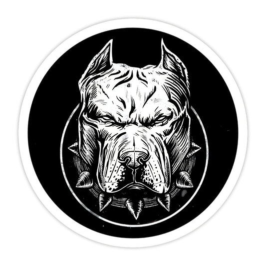 PITBULL