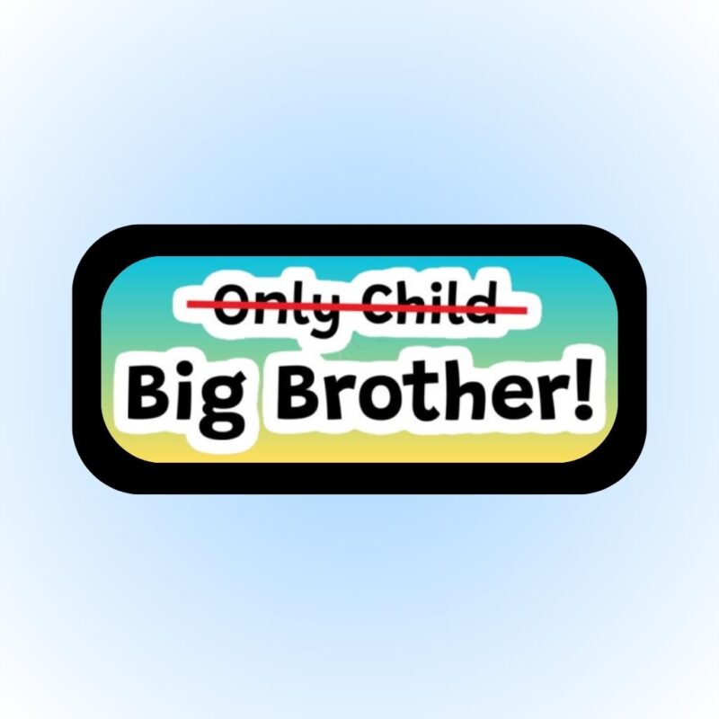 BIG BROTHER